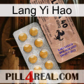 Lang Yi Hao 41